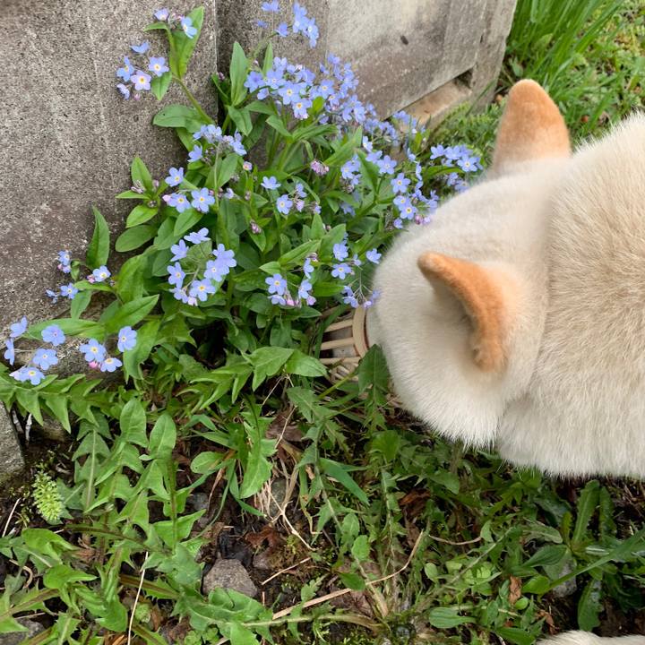 5b61d4ee a59c 4413 a693 37b51915ac46 1557470750565