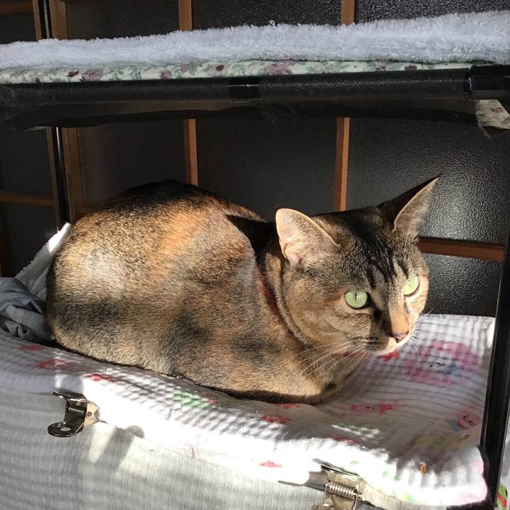 5b620818 ae33 42a4 9cf8 51fb5ba16ac6 1642467722224