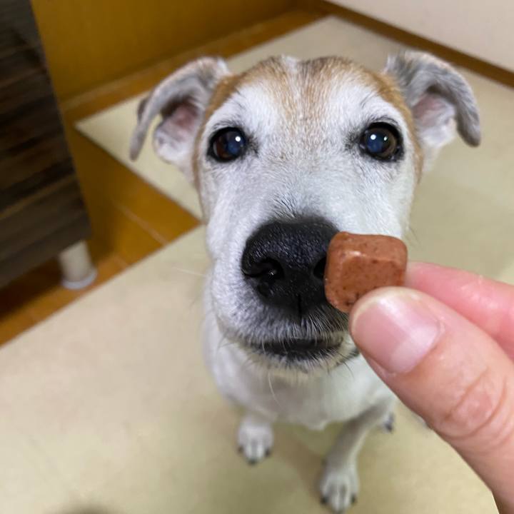 5b624d6b d77a 430b bd09 ed3364d8bb82 1599652071570