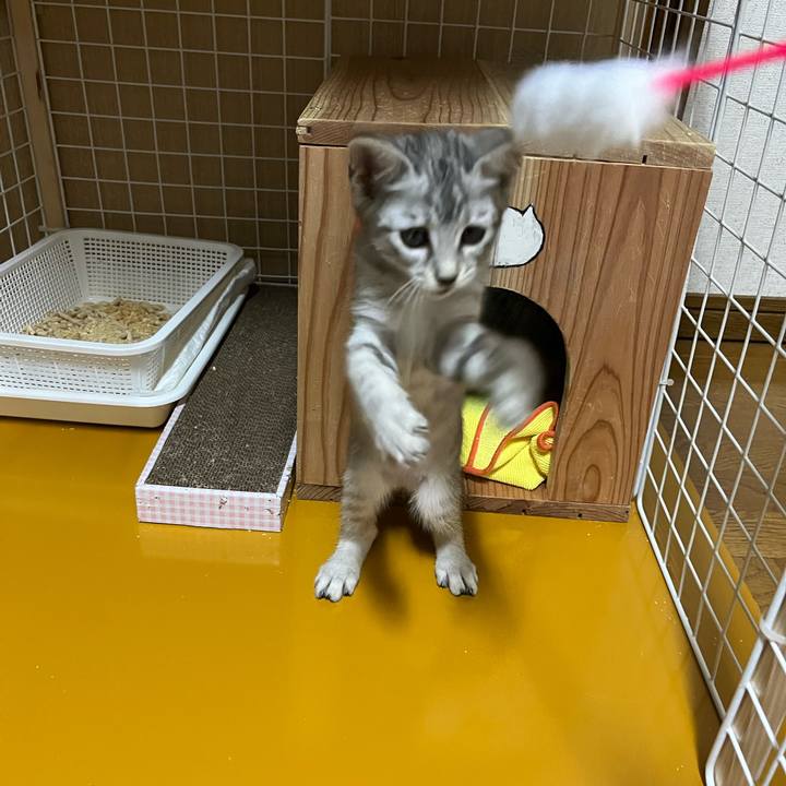 5b626f76 0c12 4a83 a737 7090d9979018 1696320422300