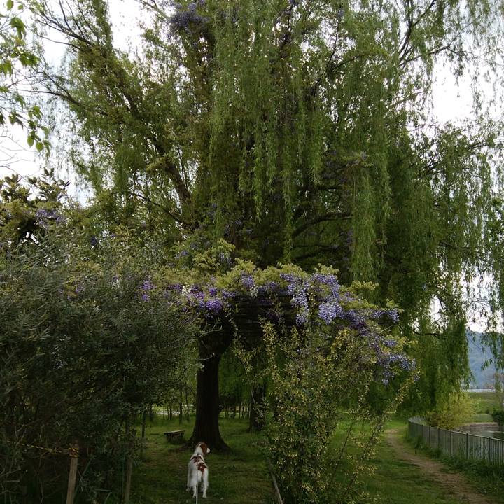 5b6277cc 0073 4a51 888d a85149631e51 1523708227605