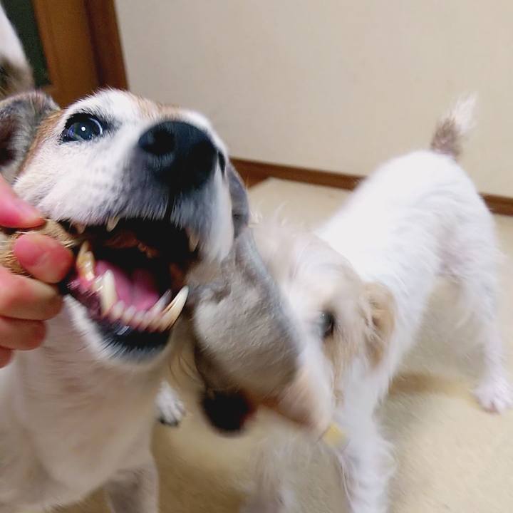 5b62d314 4c6c 4eeb 94ad ac878f95f99e 1534418337945