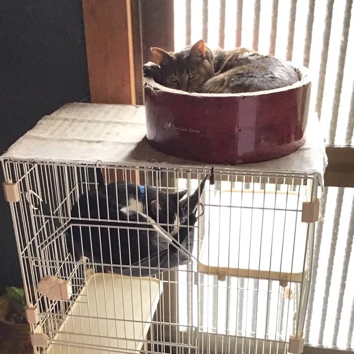 5b62d9cb 2515 47d9 9536 b8182e828007 1745583614710