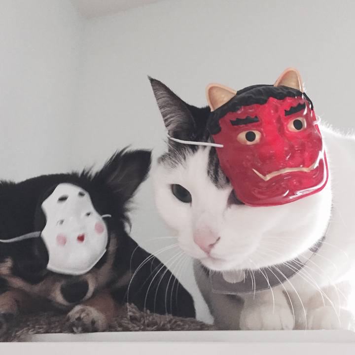 5b630322 d455 4dfd a526 16f19888201f 1517645970656