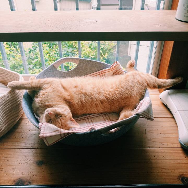 5b630565 0442 4302 a9de 998f0e69a352 1595464291473