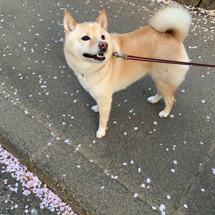 5b632dd0 3457 4407 b2e8 0029765e40a8 1617164748579