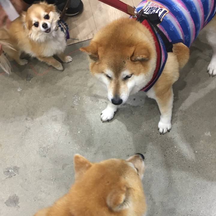 5b636865 a771 4aeb bd4c 0796ecb9523c 1617544302380