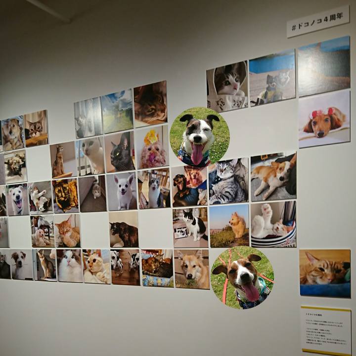 5b639162 802a 4ab4 8698 1e26a0c19a5d 1592709646327