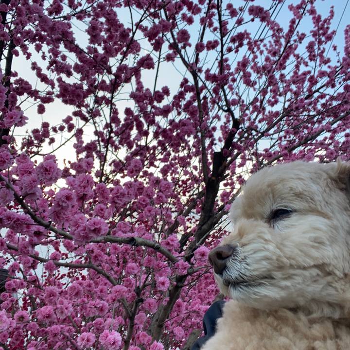 5b63cb8c 10cf 4fa2 a341 9f3e4522fedd 1617494915751