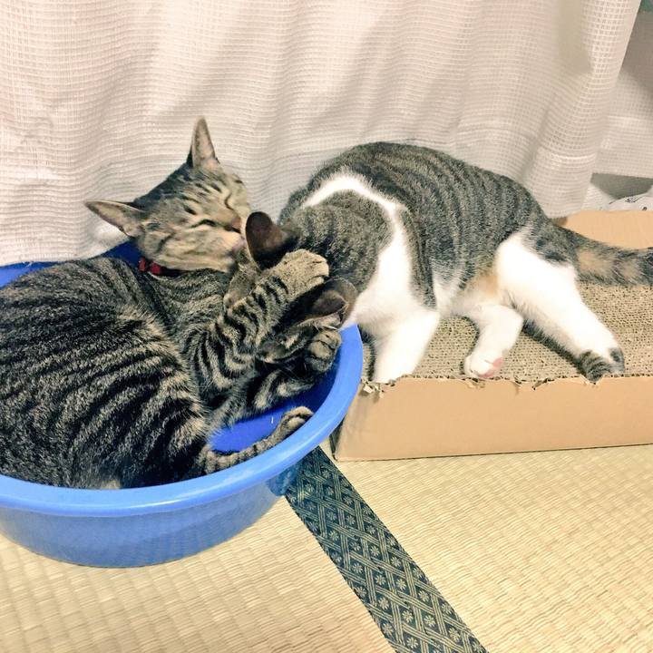 5b63ff53 b222 4232 9faa dd2c2fc0ae0e 1507763601241