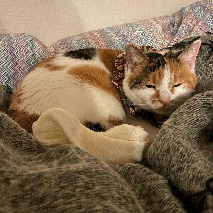 5b6402f0 dd4b 4b0c b957 65b0f06f4bc7 1766415435904