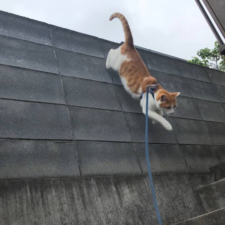 5b6439bf 6e46 4533 847b 6cb00e259be8 1563254767438