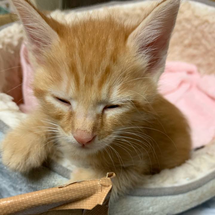 5b64690c 75e2 4e22 a29a ca72bd9f5f0d 1571062515599