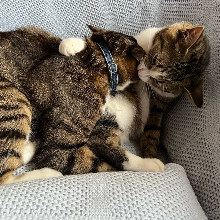 5b64758b 3fbb 4ebe 8df5 5ff6890eaa2a 1722358784710