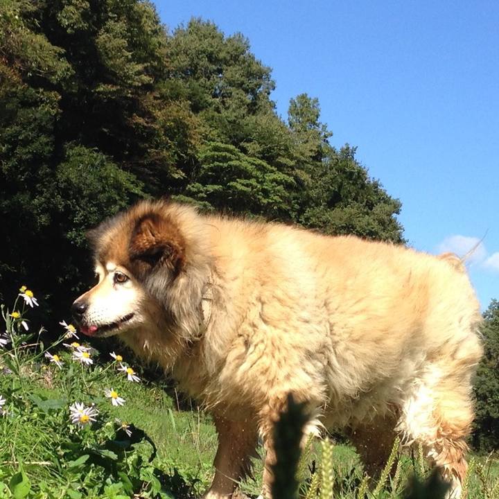 5b647ca1 9f24 490c 9938 4ec718e7388b 1602639254832