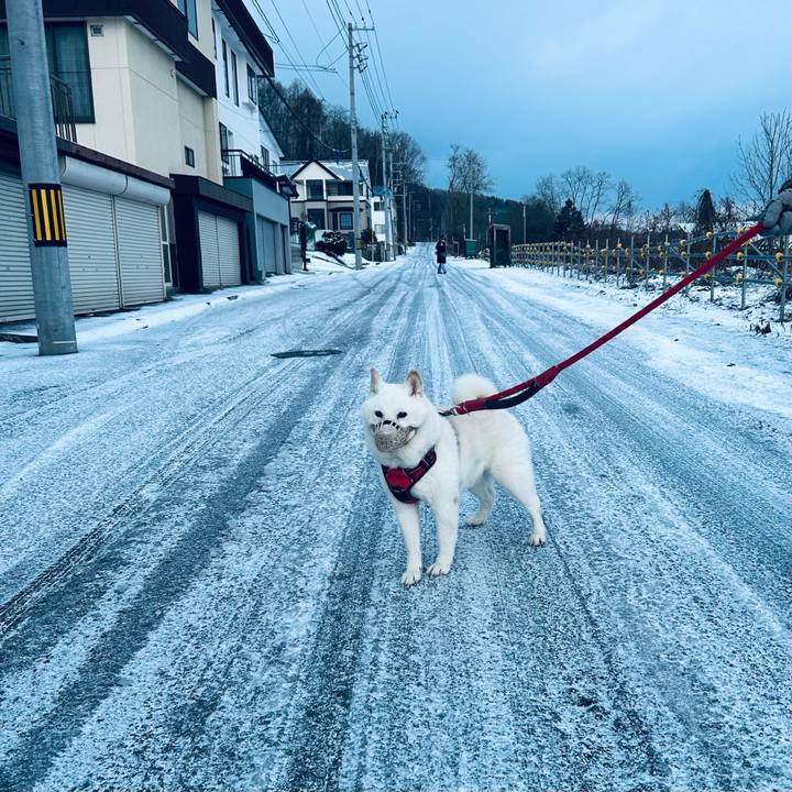 5b649485 e518 4c2f ad51 e8312afd9e92 1764713175766