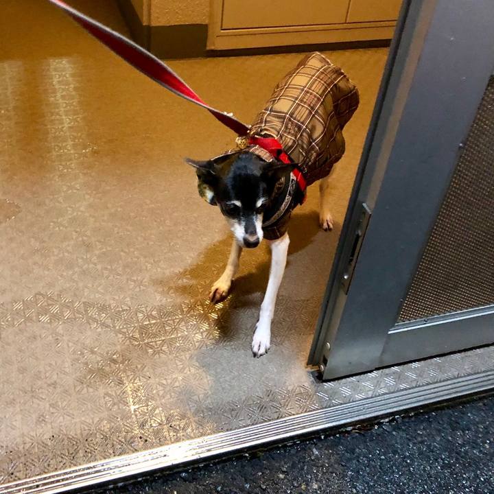 5b64abb2 5dcb 438d b626 496e7e9fc31e 1544567830795