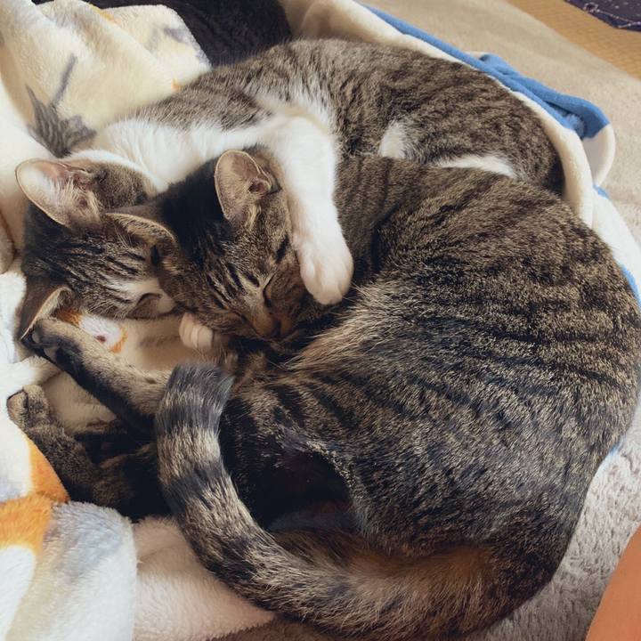 5b64b18a 9848 45df 9748 12a6c9094ee5 1580996634796