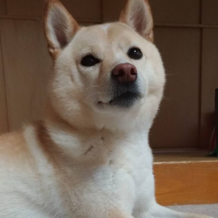 5b64bd56 9bfd 4061 aa58 d36e046688ab 1563255486457