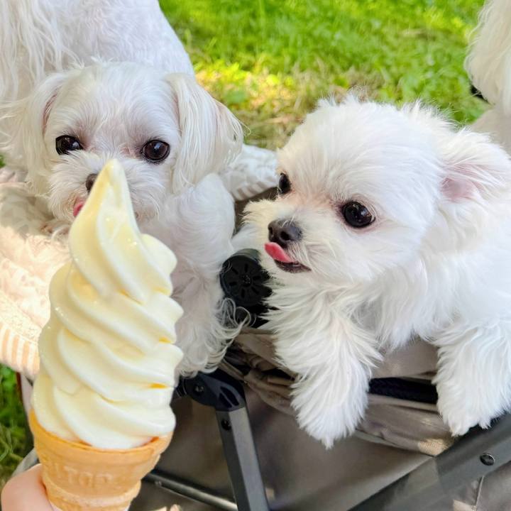 5b651eb4 68aa 4433 aa88 e6b6db3dd5f3 1752067444207