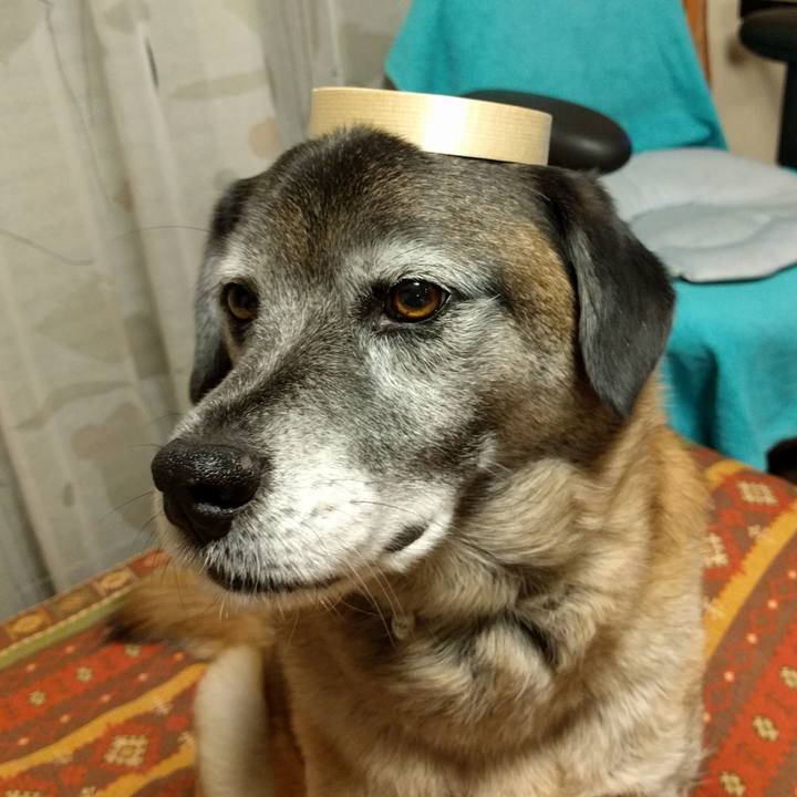 5b652421 b106 4931 9ef4 2b294d03c513 1518426858537