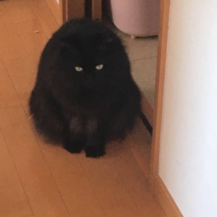 5b654464 a3f5 467c b537 fc9f3fe32e50 1545470769975