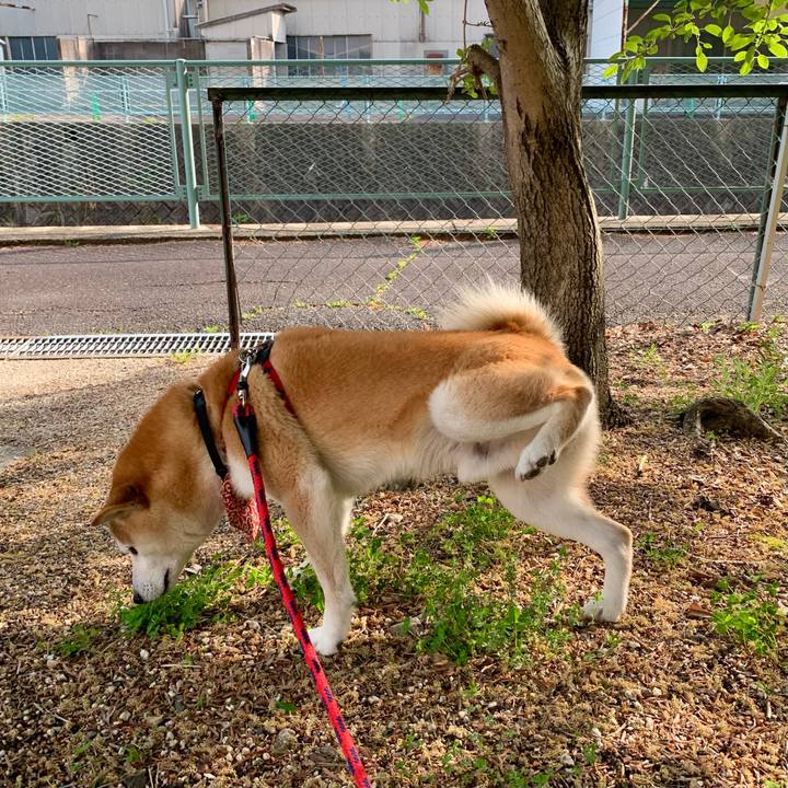 5b654b5b 4add 4f70 83f1 d8c7e42078ef 1652173972303