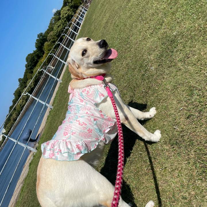 5b65576c c5d9 4c3f a884 45afc4323c62 1633792324962