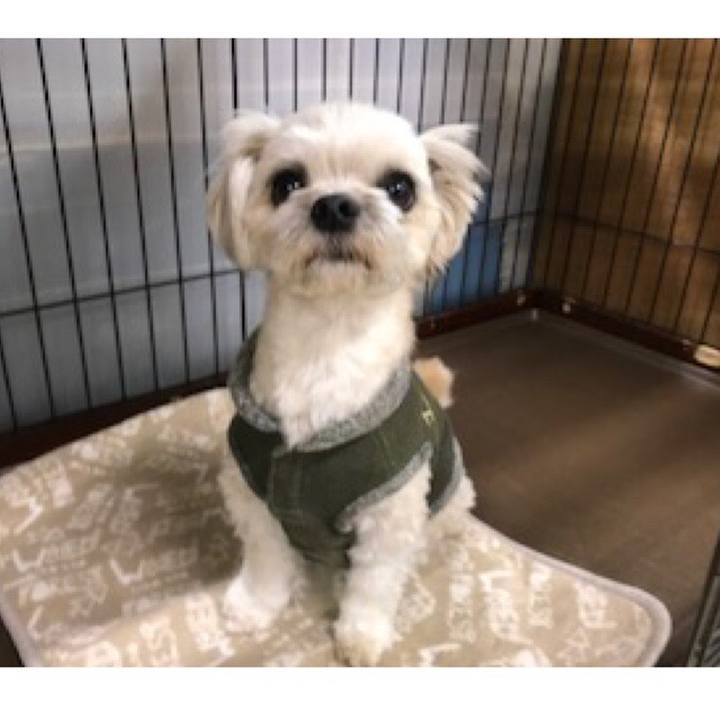 5b65d019 e452 42d8 9d2d 9e4eddf54a52 1521457831155