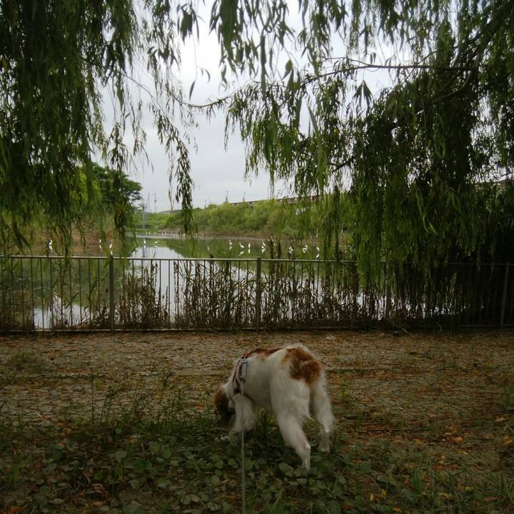 5b65e5fd 81f6 47f0 83a5 4e663d424d35 1533775547016