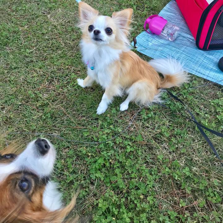 5b65e8a2 4178 4cd4 999b 4189477e86c0 1509702547713