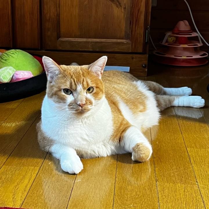 5b65efc7 d3a3 4e04 9982 b7369b34c760 1721119573912