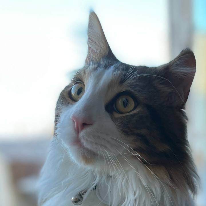 5b661470 4664 469f a9fc cb1f5fd6f623 1647642440442