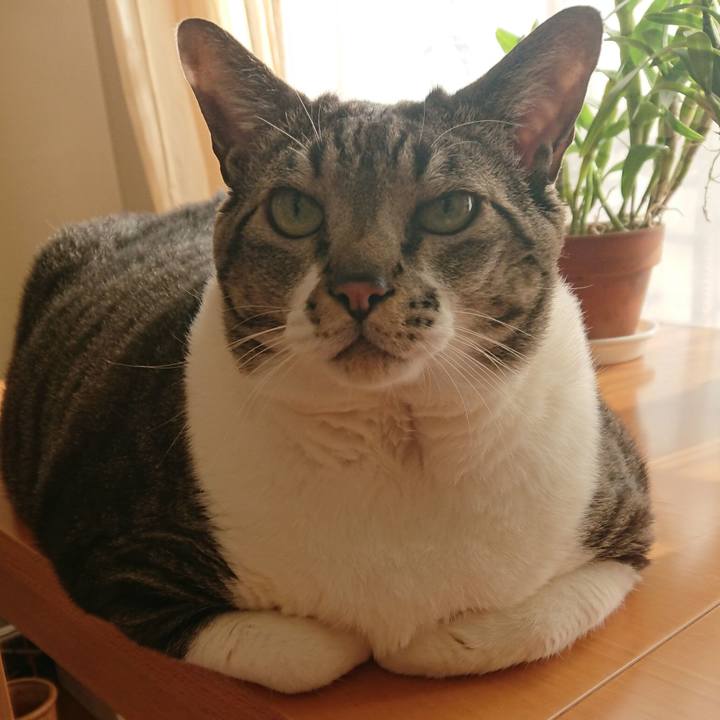 5b6617db e4d5 49e9 8e11 d63ba170fd65 1582846771636