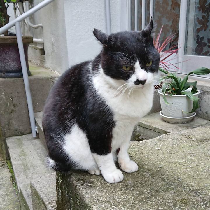 5b664d9c 88a6 4fbf 8fac 590acd9334a9 1671074783518