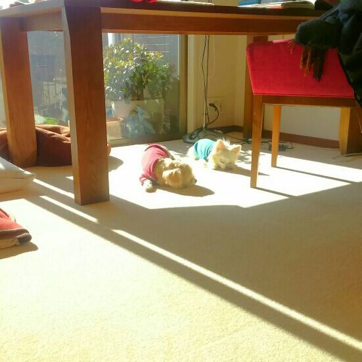 5b665d6b 3c47 42cd 8003 2a13ed89042c 1546244993575