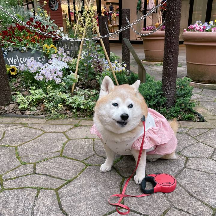 5b668030 27cf 490c a5c3 9e234159803d 1690854442840