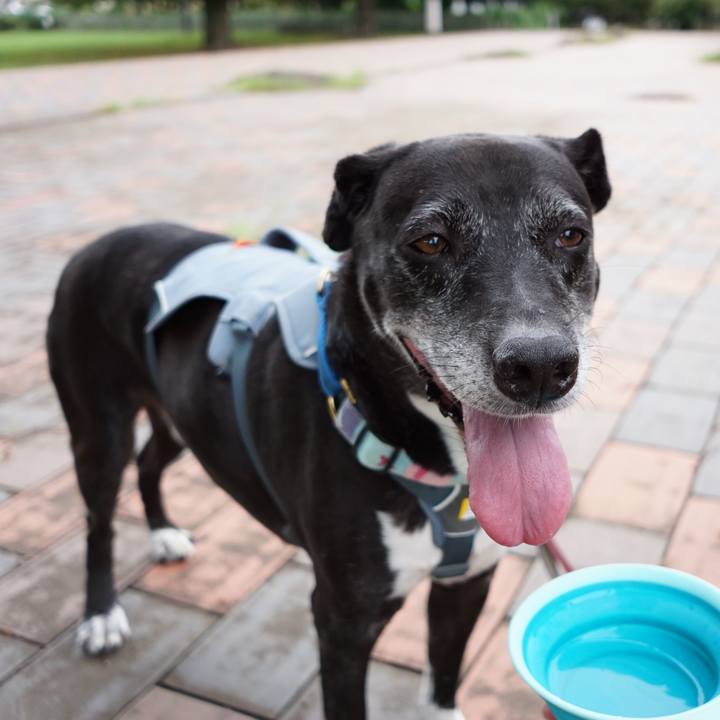 5b66a595 99a5 453b 9a3e 4fcc1d5e73dc 1757376097478