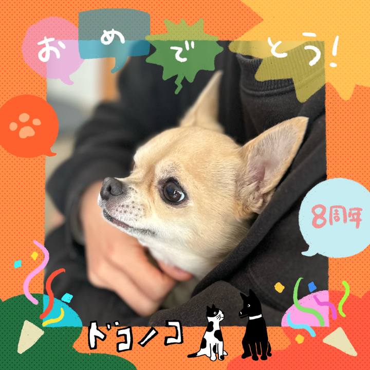 5b66ab3f 3a78 4c72 ab0b 69a525abb449 1717627330097