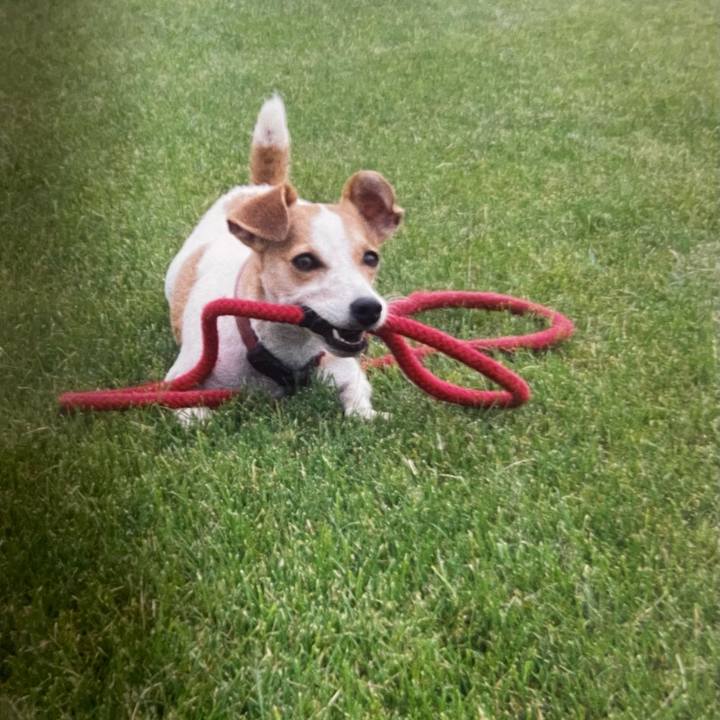 5b66d8b8 78f4 4c33 b0ac 1a3e2ccada08 1772450078212