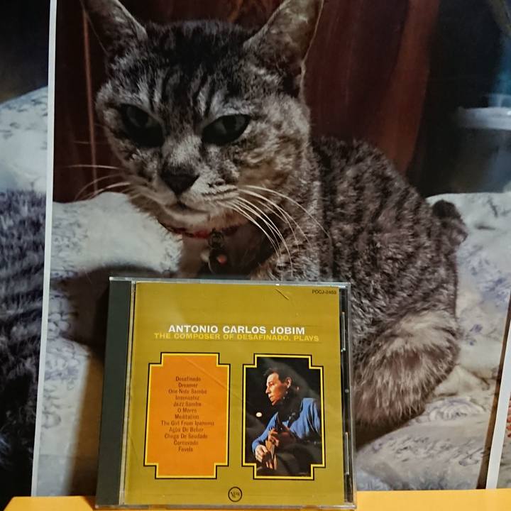 5b66ed2c f7ee 4cb3 ba3b 9b7d1a4e676d 1615467146383