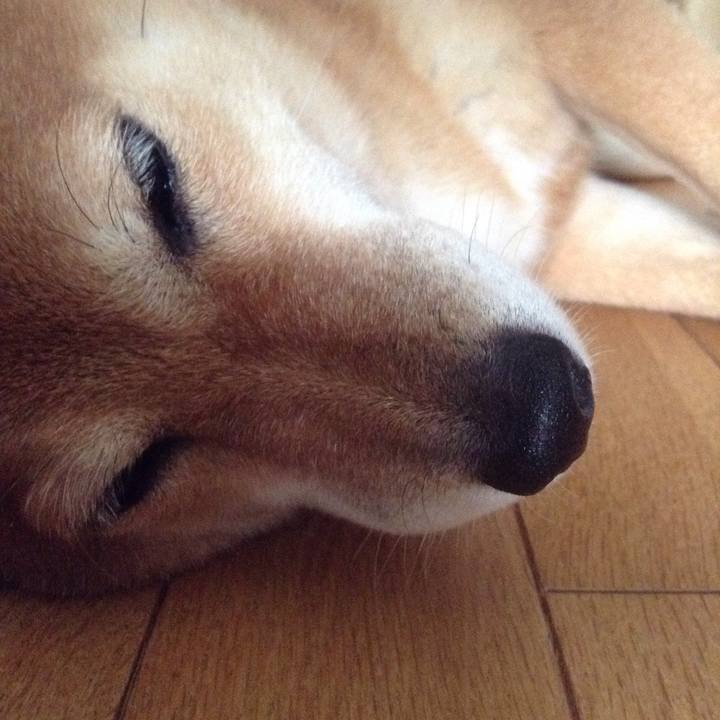 5b66fb59 1847 4240 a2e8 5afc15d47f00 1534828969779