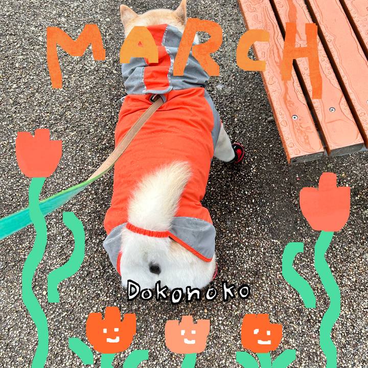 5b670bd9 4d0b 495a aa95 ce44b9021dd4 1741056771598