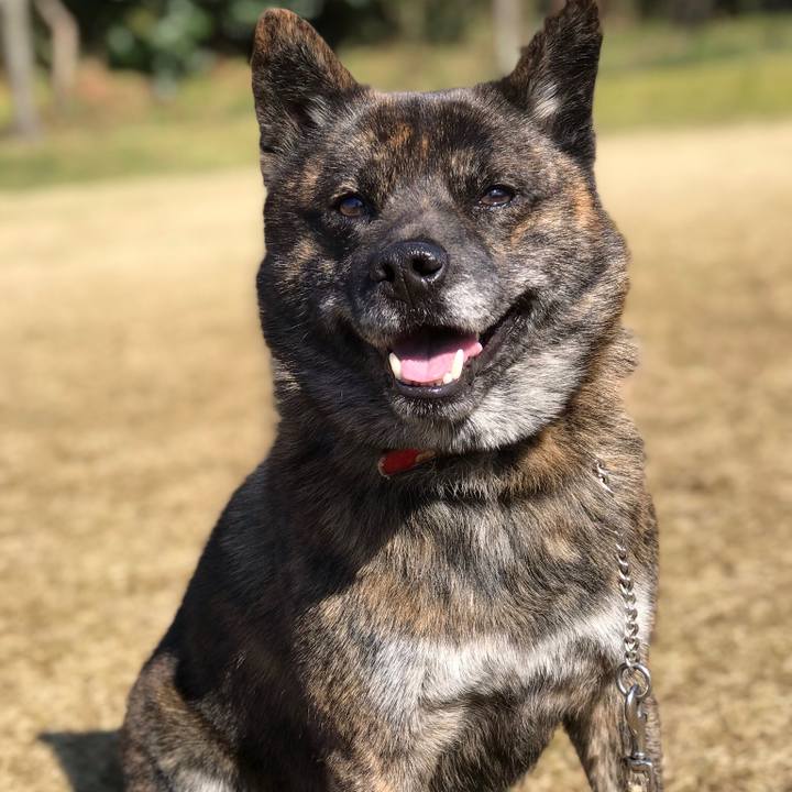 5b6714c7 42f8 44e5 9553 27e53da6a331 1553411633573