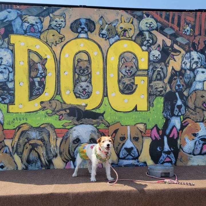 5b672a3d 5101 4026 94ed 8ebf0d07bd3e 1710560609635