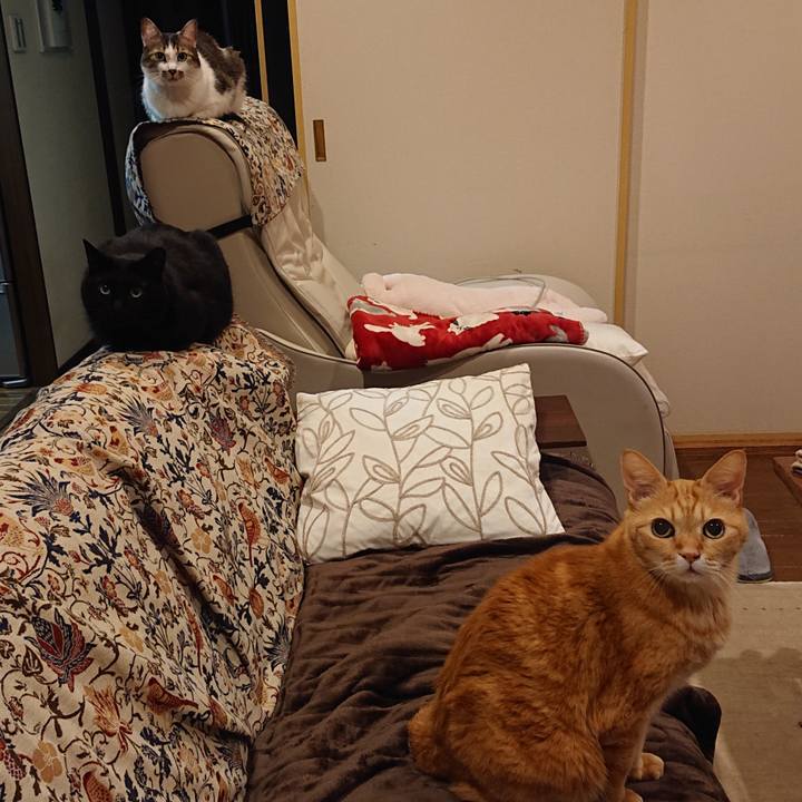 5b6737df 5274 4e14 b31a 304b63e4263f 1672758138118