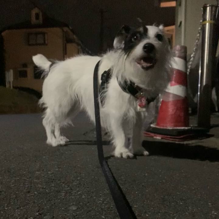 5b67e2da e6fb 4ba9 8b36 d3816221e407 1689947722182