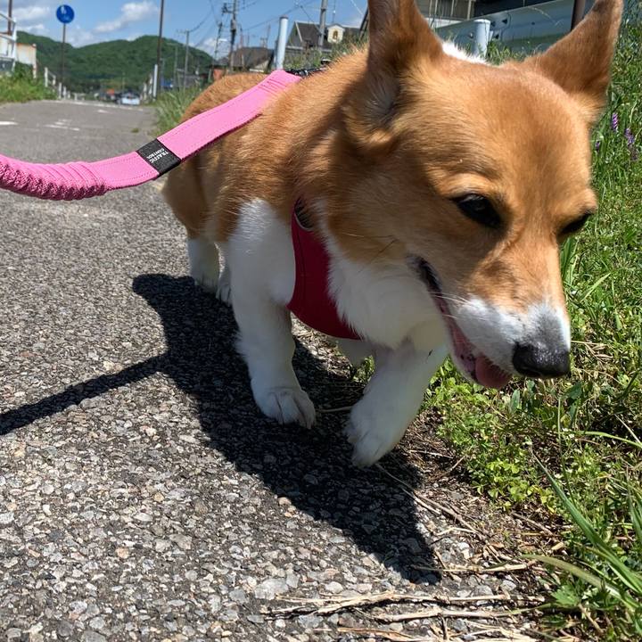 5b67ec82 16cb 4992 8285 76d02e8b3164 1682581253896