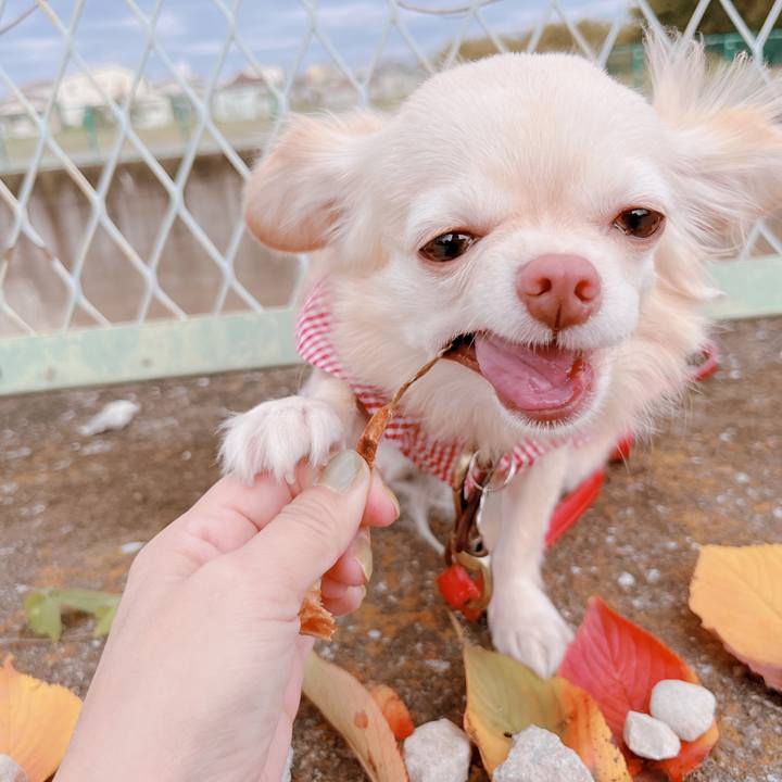 5b680fec ad14 41b7 a637 420e0e02fe3e 1666080644219