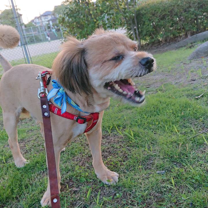 5b6812aa 6ab7 4c15 8692 5a4a9e41e872 1565259923676